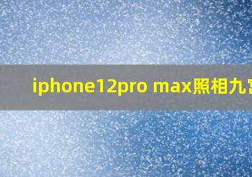 iphone12pro max照相九宫格